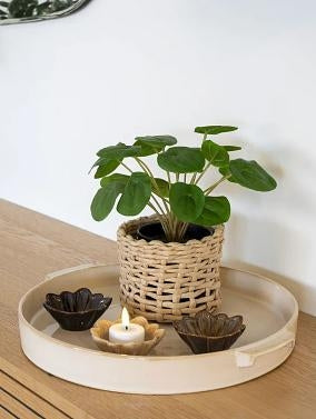Pilea, kunstig, 28 cm.