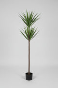 Høj plante m/3. H. 120 cm