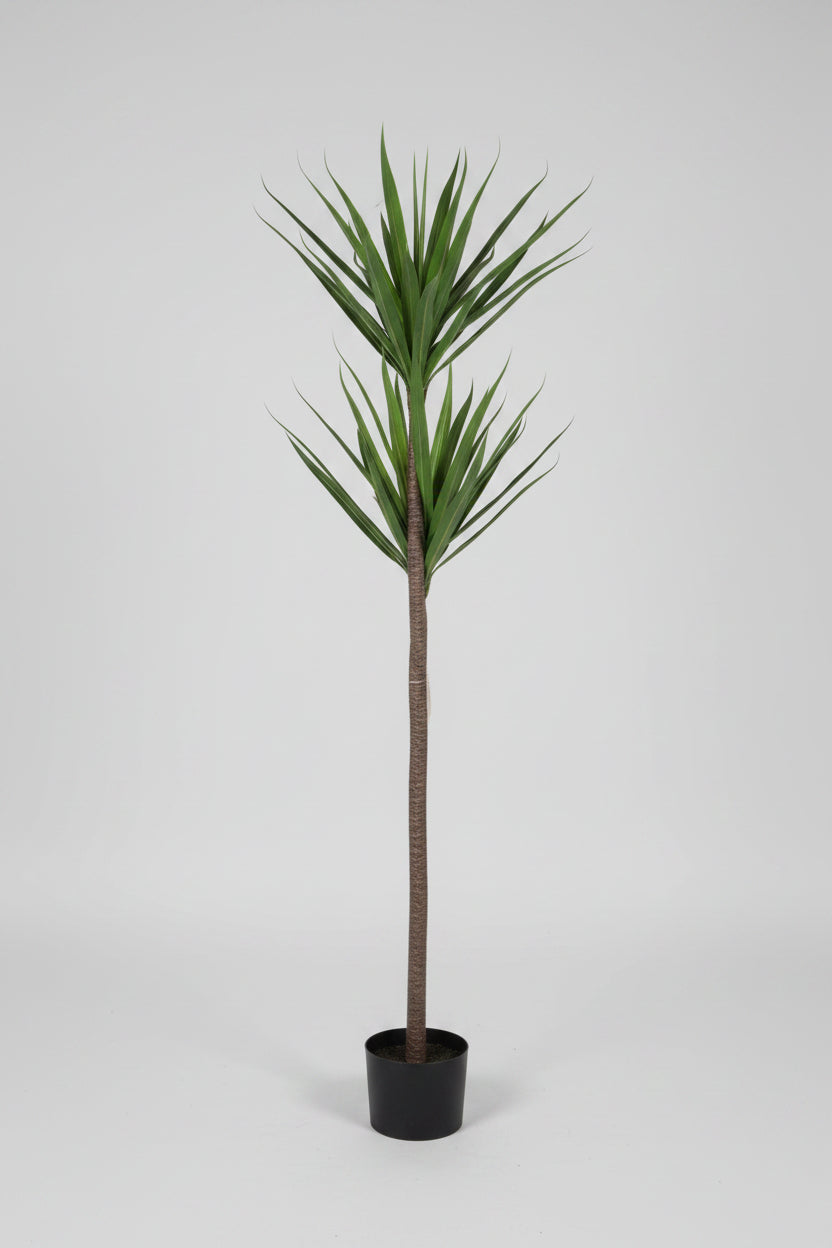 Høj plante m/3. H. 120 cm