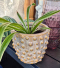 Blomsterpotte med knopper, beige