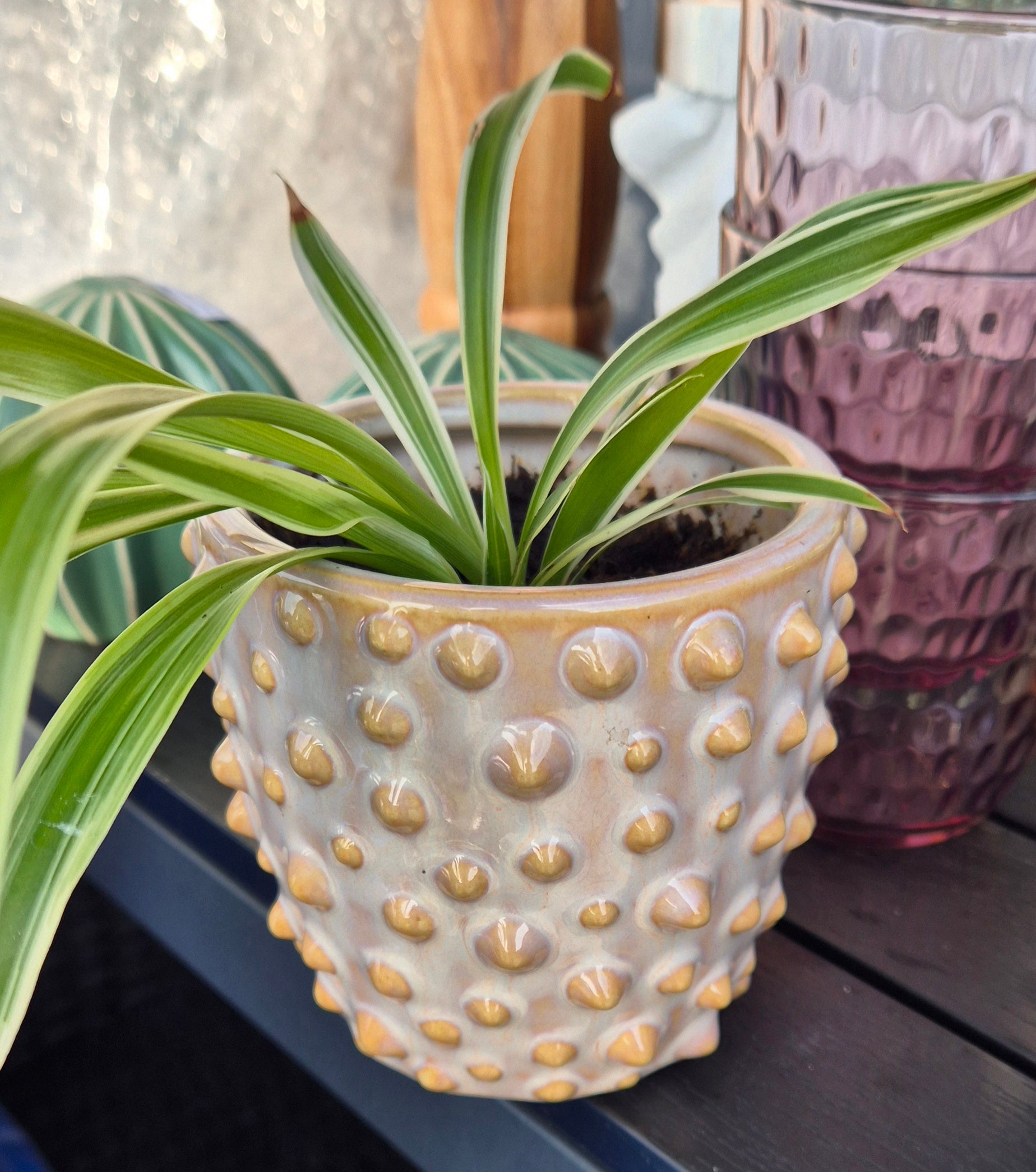 Blomsterpotte med knopper, beige