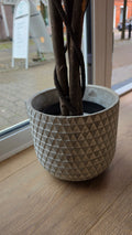 Krukke, beton m/tern