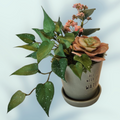 Lille blomsterpotte m/planter, grøn m/tekst