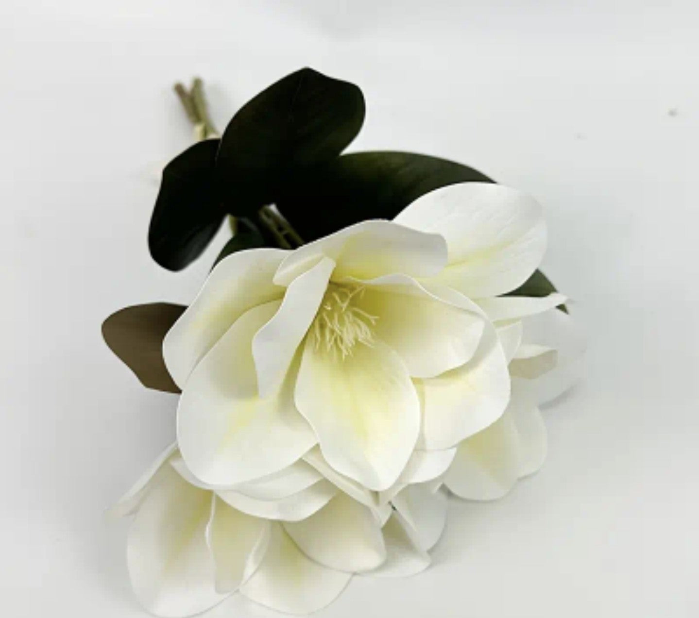 Magnolia, kunstig, hvid