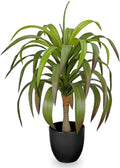 Yucca 56 cm