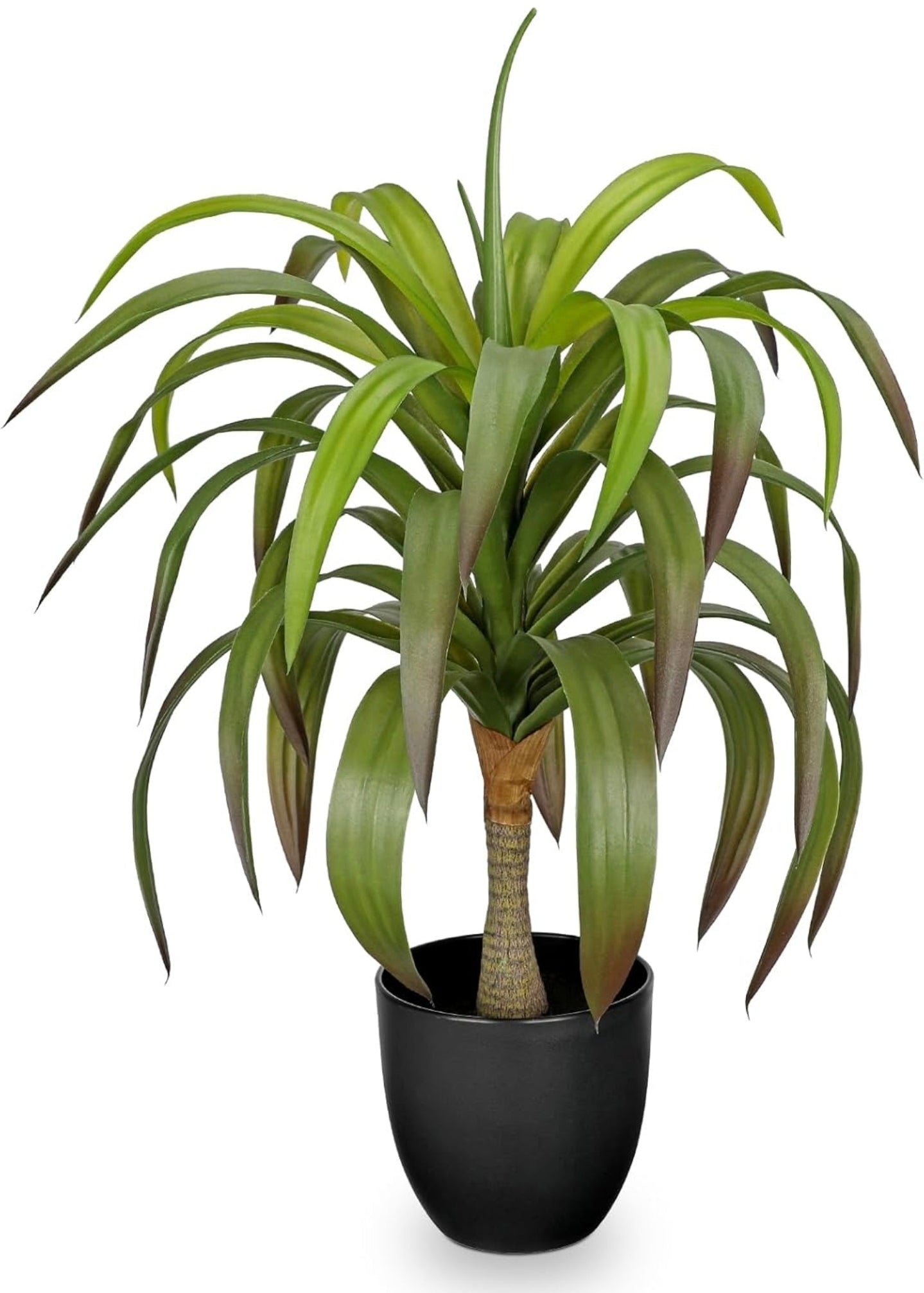Yucca 56 cm