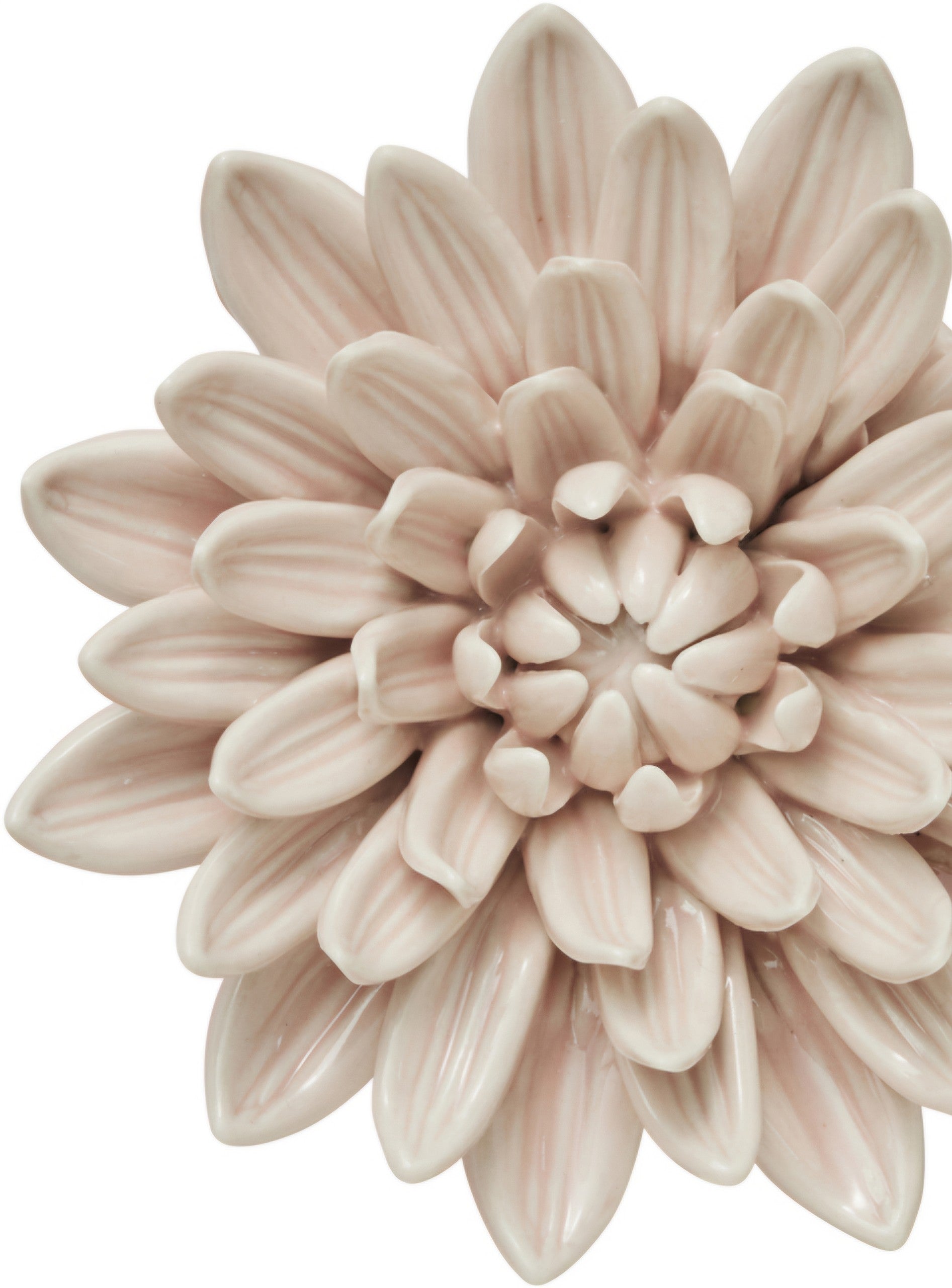 Floria væg dekoration rose D13.2.