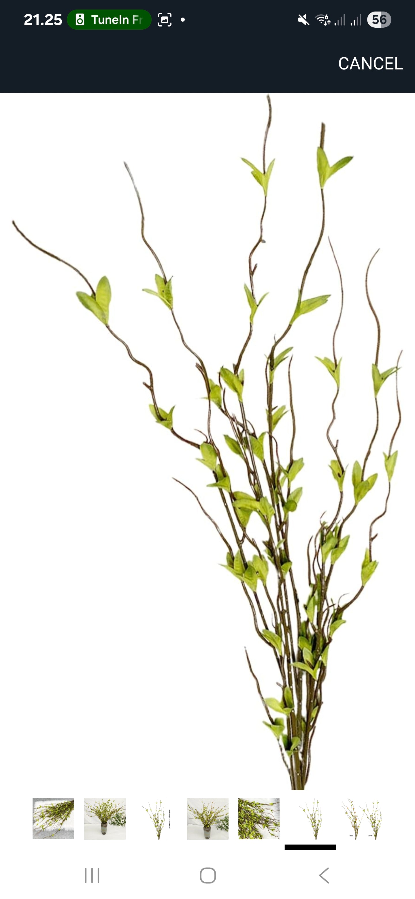 Grene h112 cm